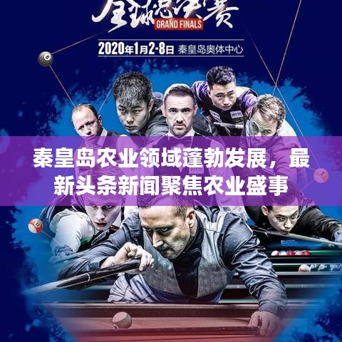 秦皇岛农业领域蓬勃发展，最新头条新闻聚焦农业盛事