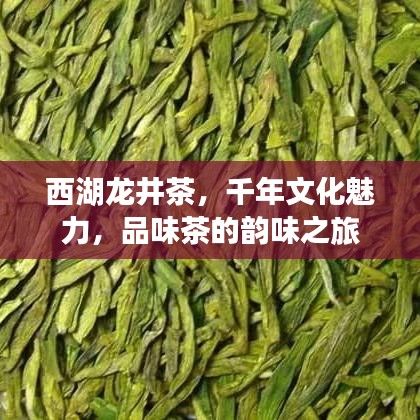 西湖龙井茶，千年文化魅力，品味茶的韵味之旅