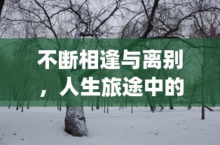 走马章台