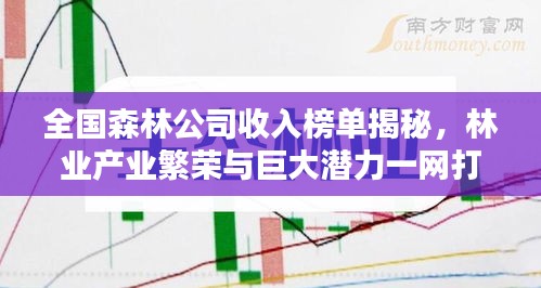 全国森林公司收入榜单揭秘，林业产业繁荣与巨大潜力一网打尽！
