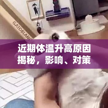 近期体温升高原因揭秘，影响、对策全解析