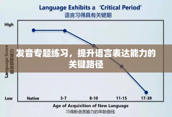 发音专题练习，提升语言表达能力的关键路径