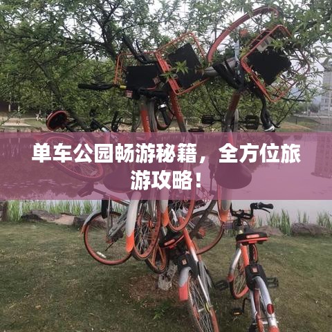 单车公园畅游秘籍，全方位旅游攻略！