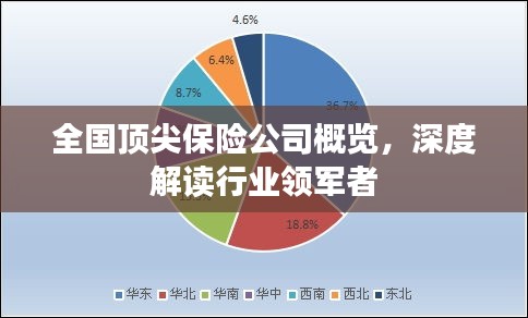 全国顶尖保险公司概览，深度解读行业领军者