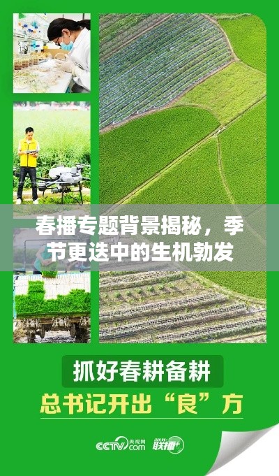 春播专题背景揭秘，季节更迭中的生机勃发