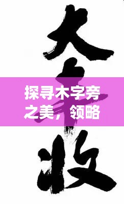 探寻木字旁之美，领略汉字森林的韵味