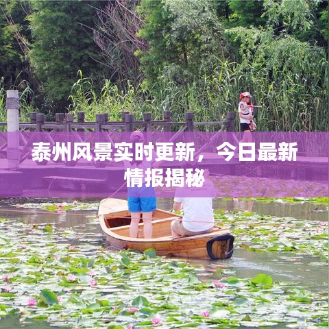 笔走如飞