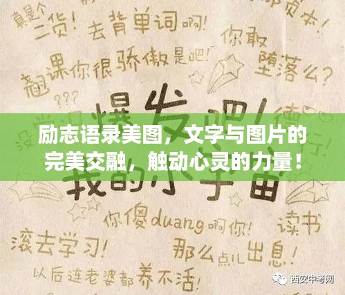 龙飞九五
