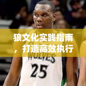 狼文化实践指南，打造高效执行团队