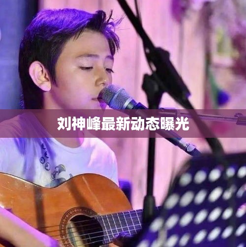 刘神峰最新动态曝光