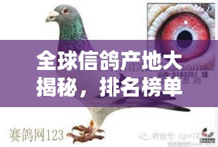 全球信鸽产地大揭秘，排名榜单不容错过！