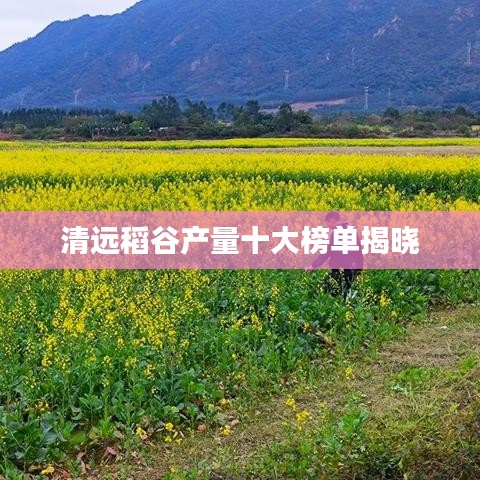 六鹢退飞
