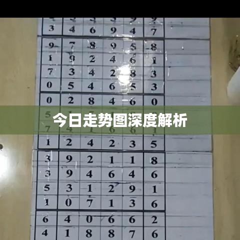 今日走势图深度解析