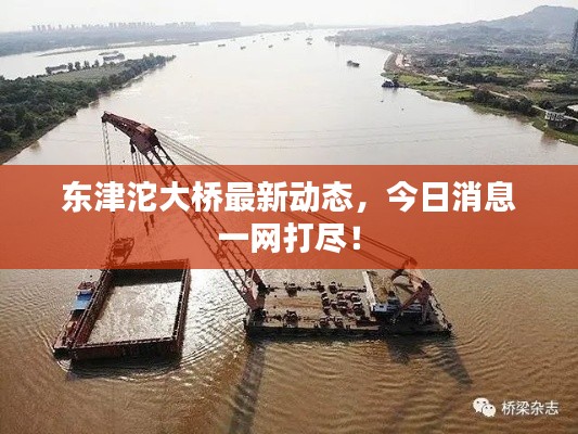 飞潜动植