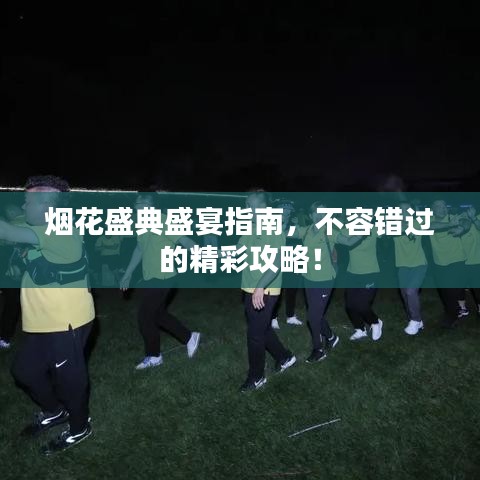 烟花盛典盛宴指南，不容错过的精彩攻略！