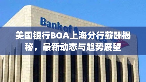 美国银行BOA上海分行薪酬揭秘，最新动态与趋势展望