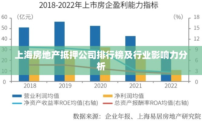 上海房地产抵押公司排行榜及行业影响力分析