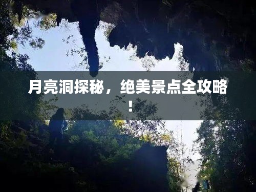 草创未就