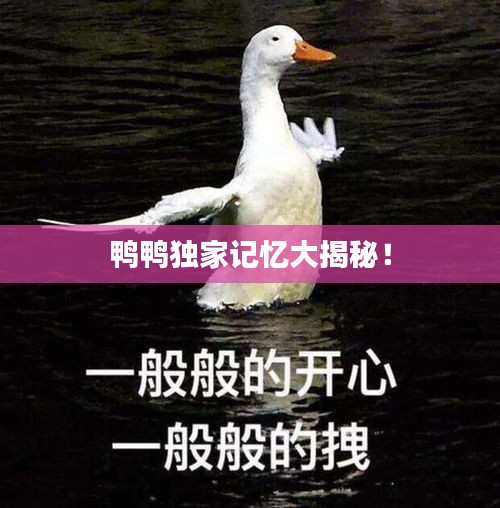 鸭鸭独家记忆大揭秘！