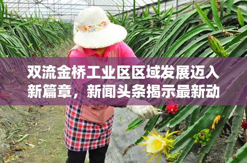 双流金桥工业区区域发展迈入新篇章，新闻头条揭示最新动态