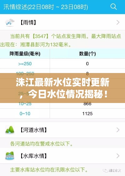 鸟飞兔走