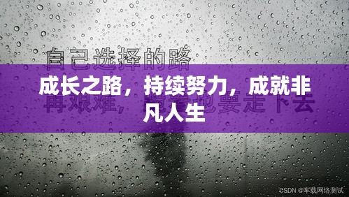 衣不兼采