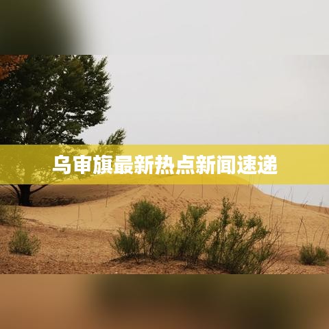 志在四方
