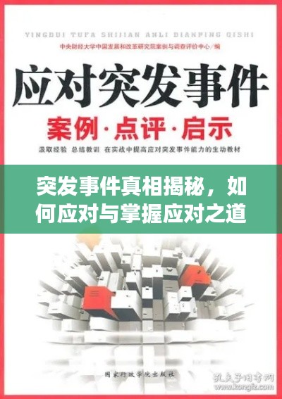 突发事件真相揭秘，如何应对与掌握应对之道