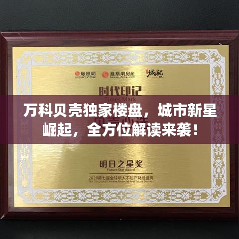 万科贝壳独家楼盘，城市新星崛起，全方位解读来袭！