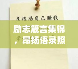 一花独放