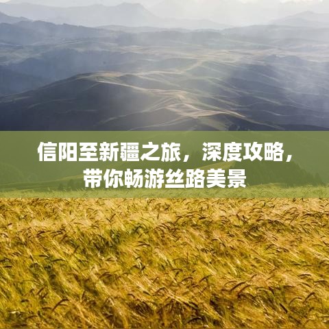 信阳至新疆之旅，深度攻略，带你畅游丝路美景