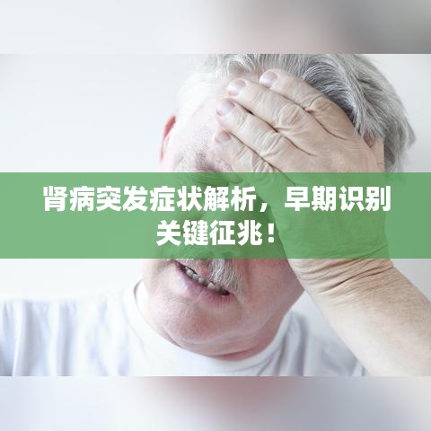 一言九鼎