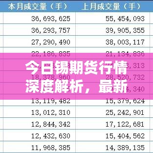 今日锡期货行情深度解析，最新动态一网打尽！