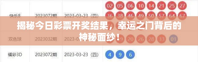 揭秘今日彩票开奖结果，幸运之门背后的神秘面纱！