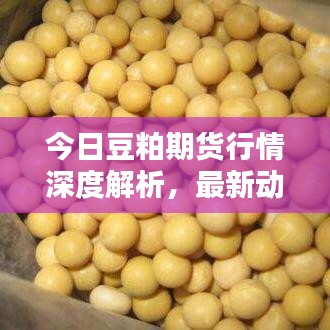 关于我们 第13页