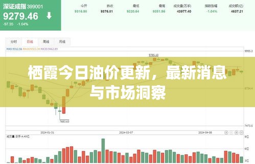 栖霞今日油价更新，最新消息与市场洞察