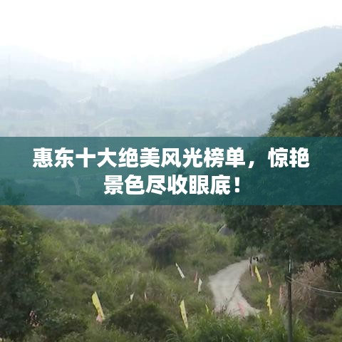 遍地开花