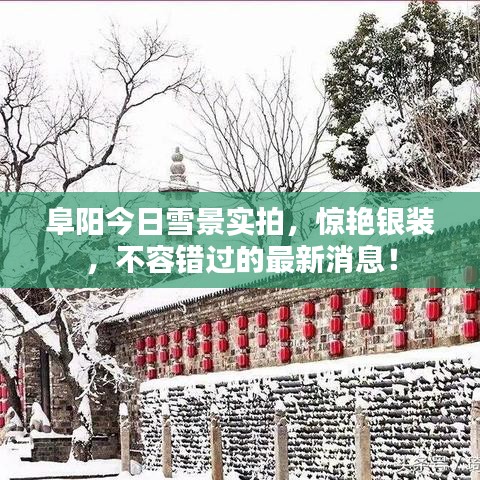 新闻动态 第10页