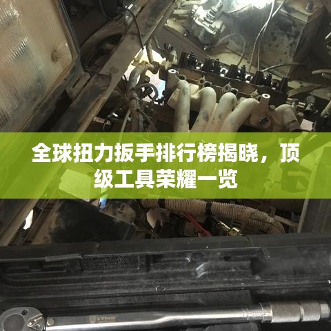 物离乡贵