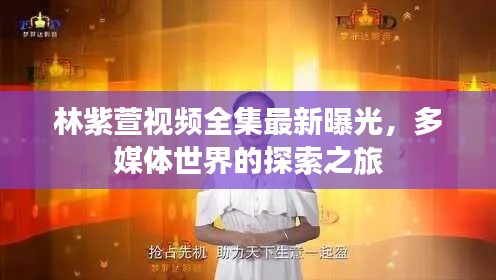 凤凰于飞