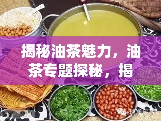 揭秘油茶魅力，油茶专题探秘，揭示其重要性！