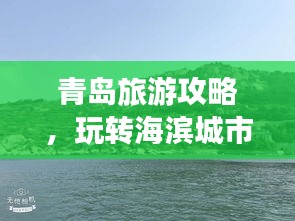 产品中心 第9页