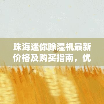 寥若晨星