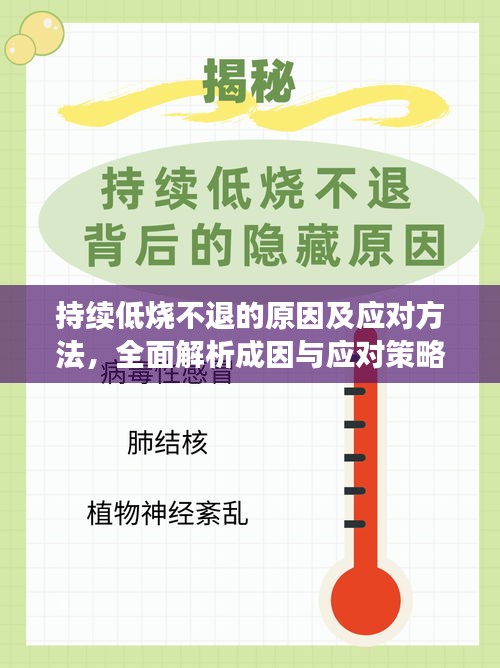 持续低烧不退的原因及应对方法，全面解析成因与应对策略