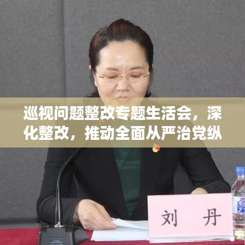 巡视问题整改专题生活会，深化整改，推动全面从严治党纵深发展