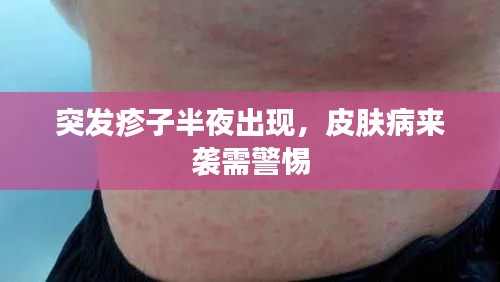 还淳反朴