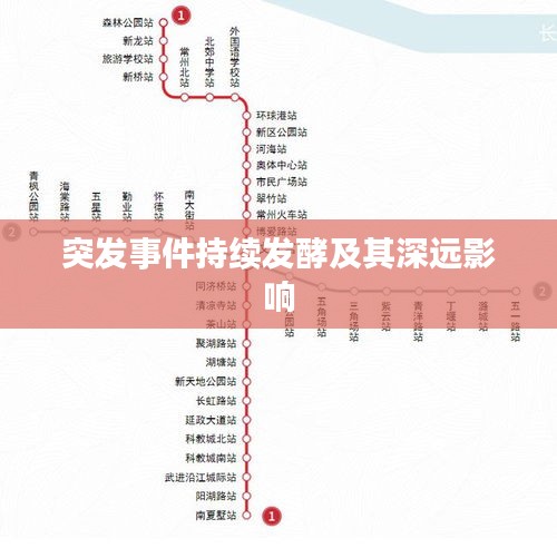 突发事件持续发酵及其深远影响