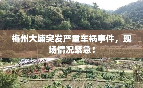梅州大埔突发严重车祸事件，现场情况紧急！