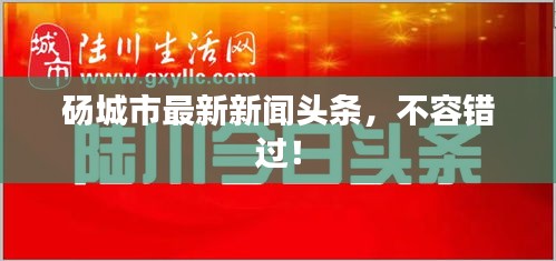 砀城市最新新闻头条，不容错过！