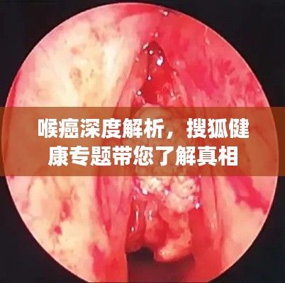 新闻动态 第6页